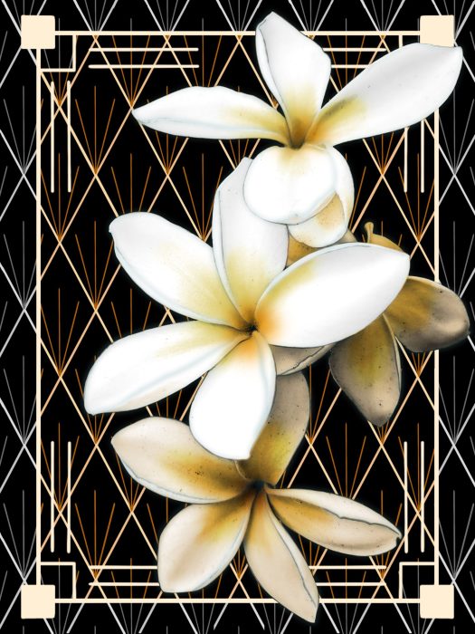 Frangipani